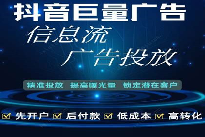 解析某某SEM服务公司的广告投放策略与效果评估